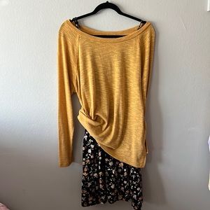 2 piece Dress with long sleeve shirt